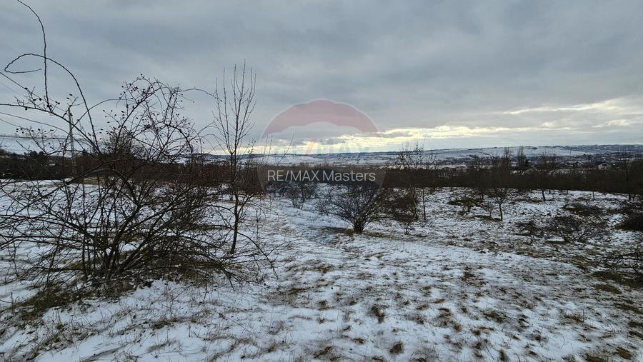 Teren 10,000mp Radaseni / Soseaua DN2-E85, judetul Suceava - 8