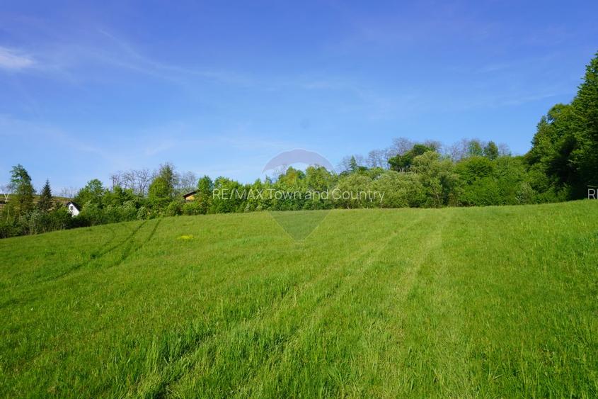 Teren 33,137mp Sighetu Marmatiei / Strada Mocanitei - 9