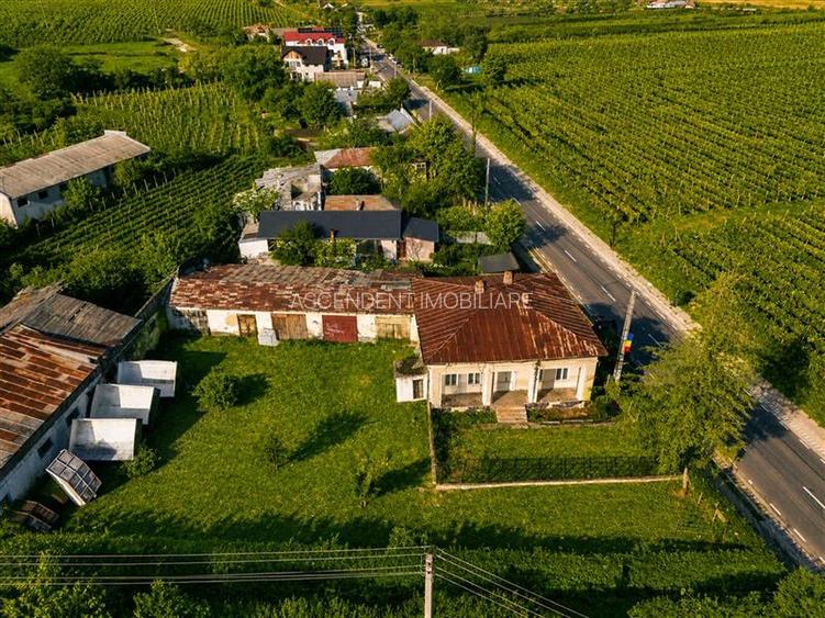 Proprietate unica in zona viticola Odobesti, Vrancea, casa boiereasca cu 4.000 m - 11