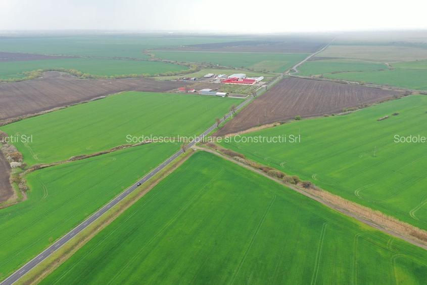 Teren industrial Dudestii Noi - 6