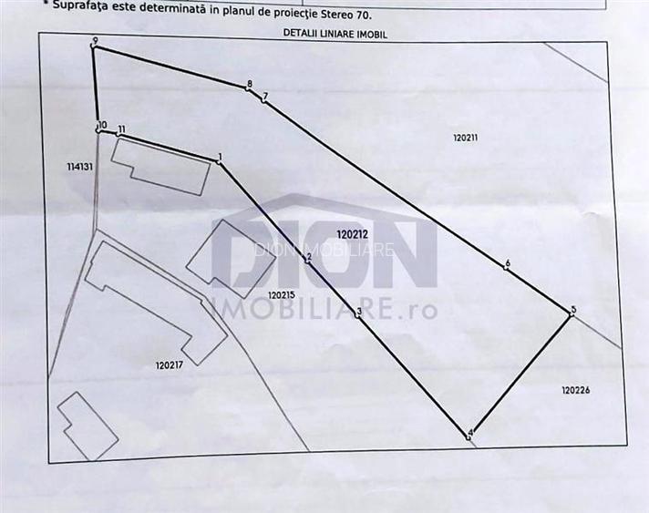 Domnesti Teghes ideal investitie,toate utilitatile - 2
