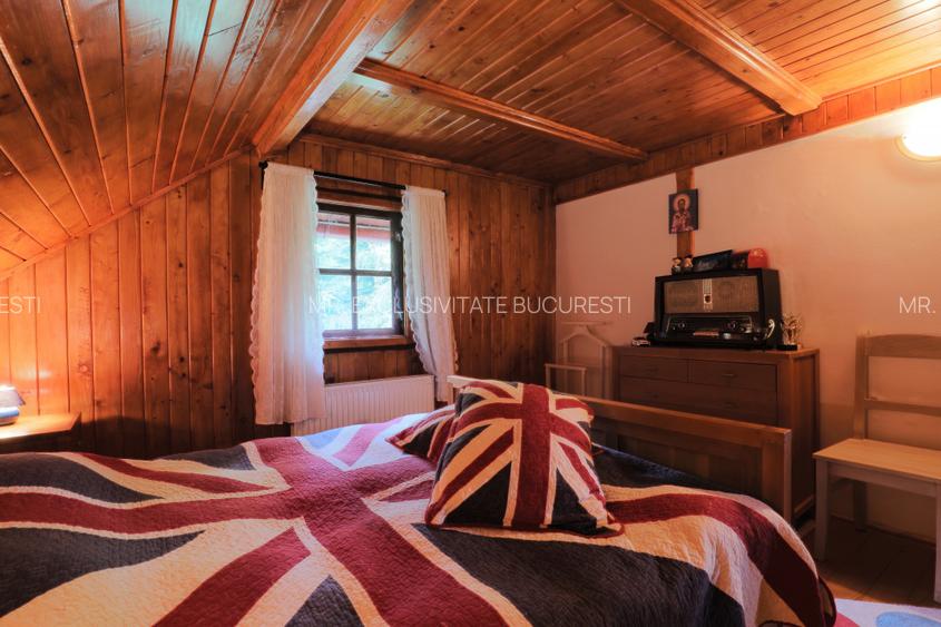 Casa de exceptie Campina - 16