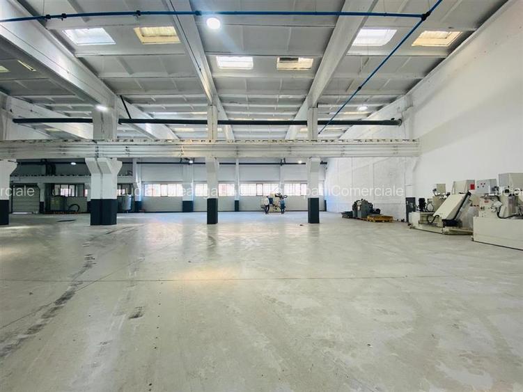 Hale Calea Chisinaului Iasi, aproape de Carrefour de la 65mp la 2000mp - 16