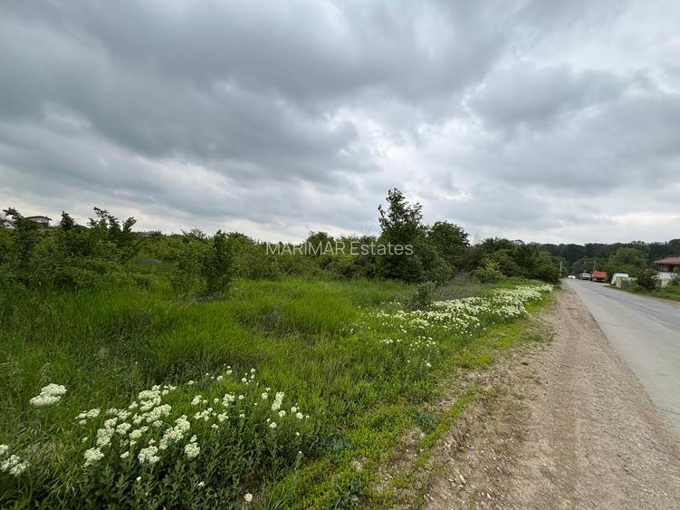 Terenul dintre 2 lacuri – 1000 mp în Mogoșoaia, la 5 minute de pădure - 4