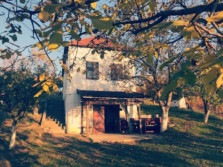 Investiție rară în Bihor - 13