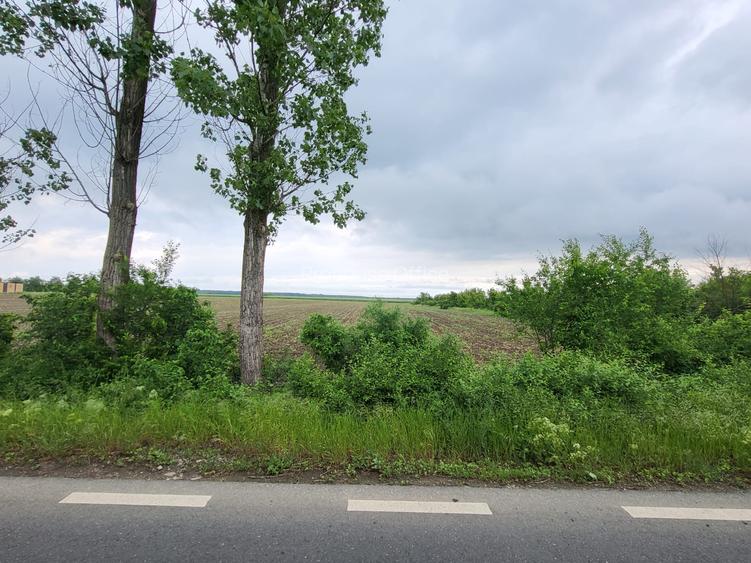 VANZARE TEREN INTRAVILAN CU DESCHIDERE DE 20 ML LA DJ SILISTEA SNAGOV - 4