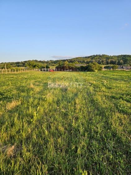 Teren 1,495mp Dobreni / Strada Parau Almas - 28