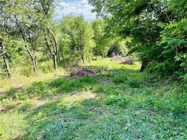 Teren 3581 mp | Marginimea Sibiului | priveliste superba - 5