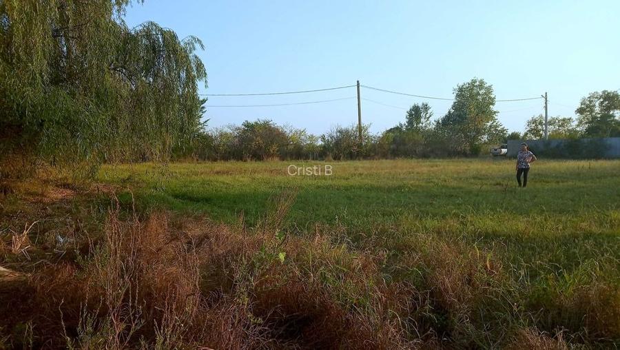 Teren Periș Ilfov sat Buriaș 2 154 m - 59 900 Eur negociabil - 5