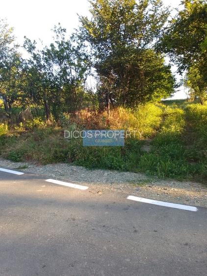 Teren intravilan 2.500 mp – Vieru, Giurgiu - 3