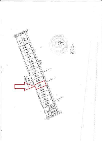 Pădurea Băneasa - 1