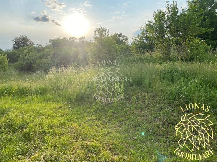 Teren Intravilan 1140 mp cu utilitati-ideal casa-Sigmir - 3