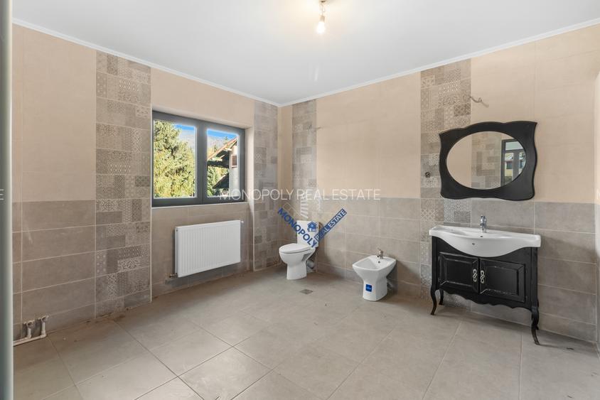 Proprietate cu potențial uriaș – Timișul de Sus – Brașov - 15