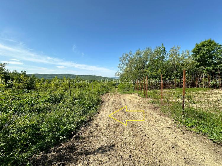 Teren parcele, de la 748mp la 3024mp, Barnova Sf. Ap. Petru - 6