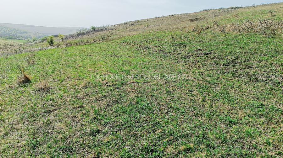 Teren extravilan în Dezmir. - 6