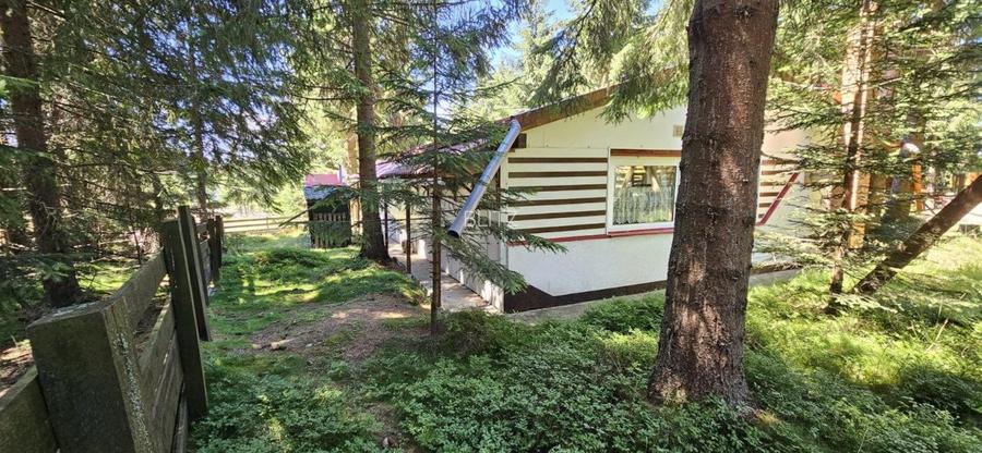 Casa de vacanta, 3 camere, teren 838 mp, 110 mp, Marisel - 17