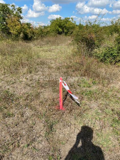 Teren Intravilan Domnești 7100mp | 12€/mp | Ideal Proiect Off-Grid & Casă Pasivă - 7