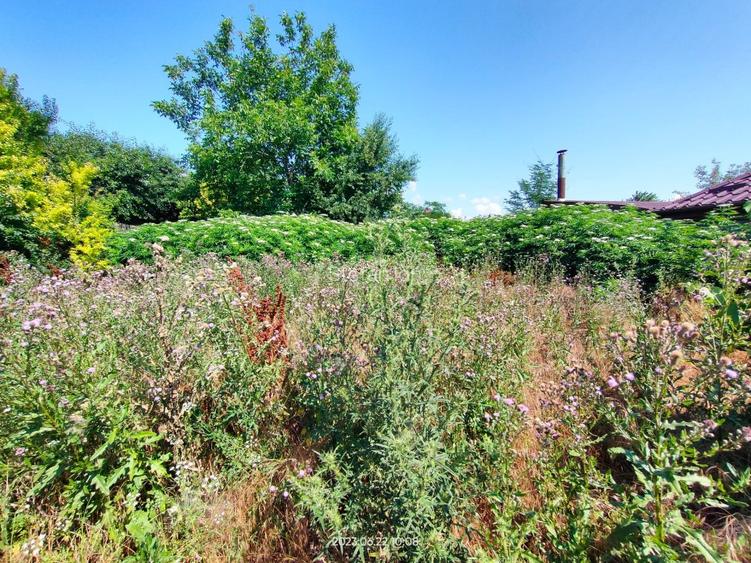 Teren Vanzare Intravilan Ovidiu - 513 mp - 6