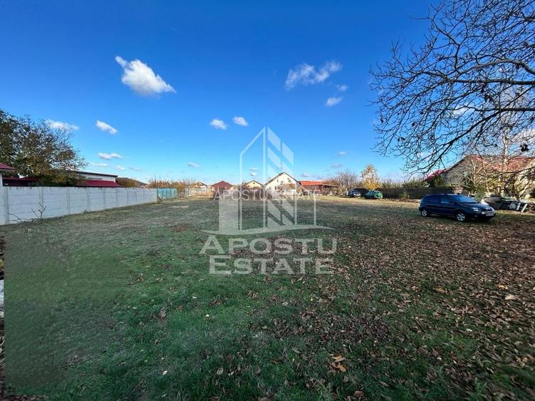 Parcela 1000 mp, de vanzare,  case noi, Peciu Nou, Jud. Timis - 2