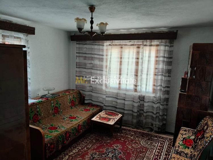 Proprietate cu potențial turistic și agricol | 7.661 mp|Șomanești-GORJ - 14