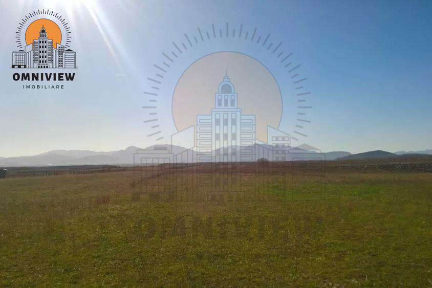Teren intravilan Dobolii de Jos 47.700 mp | PUZ+autorizație | POT 50%
