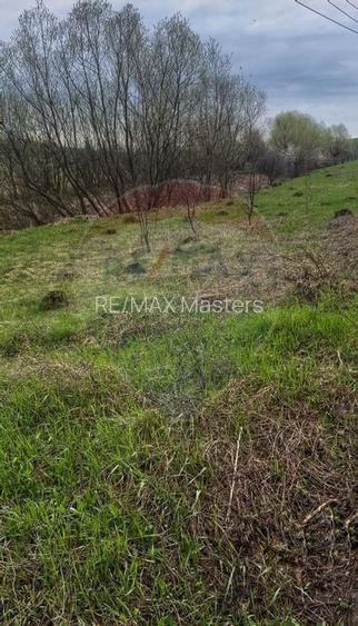 Teren 2,700mp Scheia / DJ 209C - 4