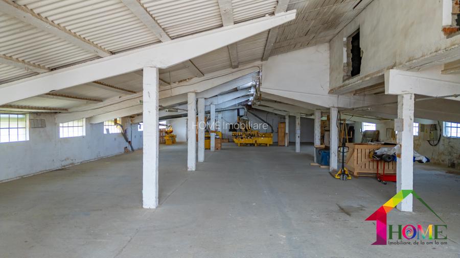 Teren 100.000 mp + Spatii Industriale Bacau - 12