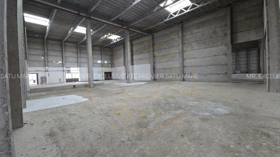 De Vanzare Hala/Depozit - 3