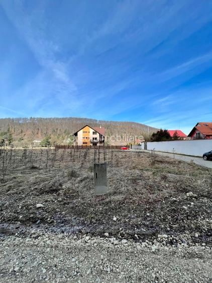 TEREN 1000MP  BUNLOC BRASOV! - 4