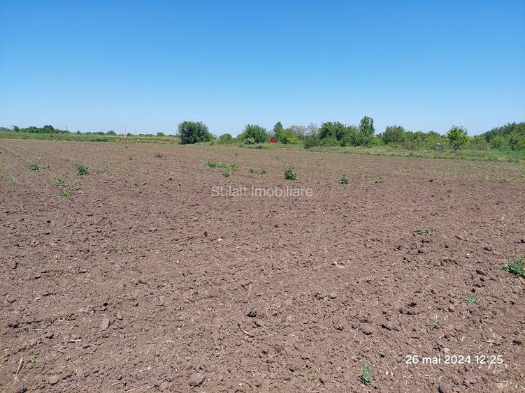 Teren  intravilan  540 mp / Vama Veche - 9