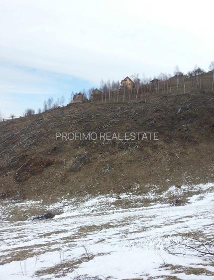 Moeciu, Drumul Carului, teren 3750 mp, 75000 euro - 6