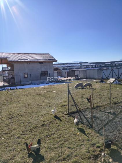 De vanzare 500 mp teren intravilan, Cartier Izvor, Tarlungeni, Brasov - 11