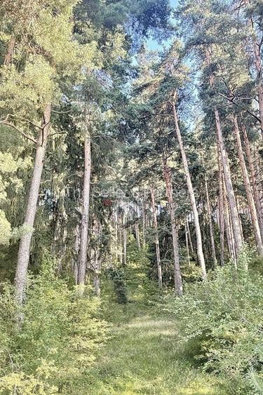 Teren zona Livezii - 7