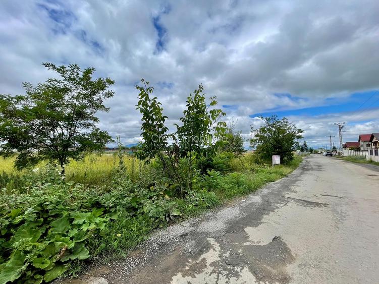Teren intrare Sanpetru 10.689mp intravilan! - 2