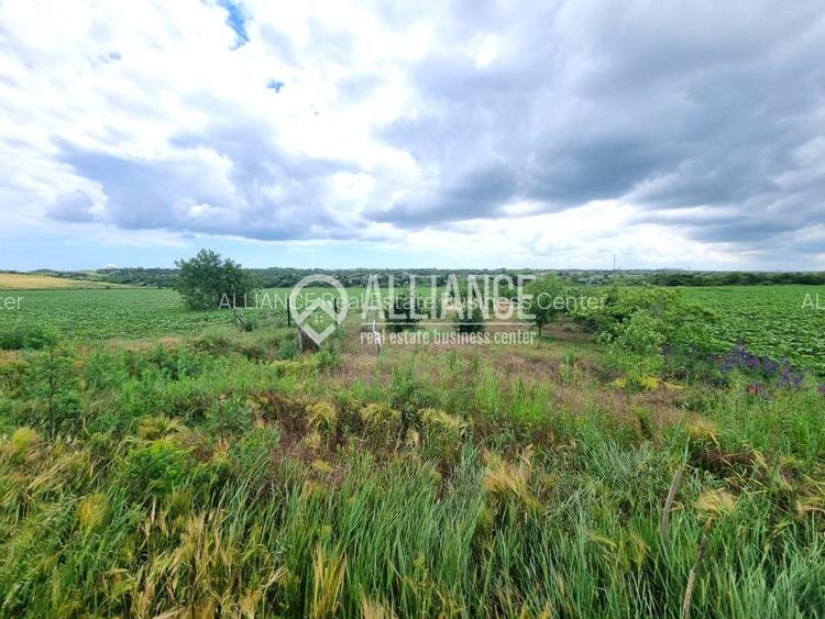 OVIDIU (COD 02)  - teren extravilan 4000 mp - 3