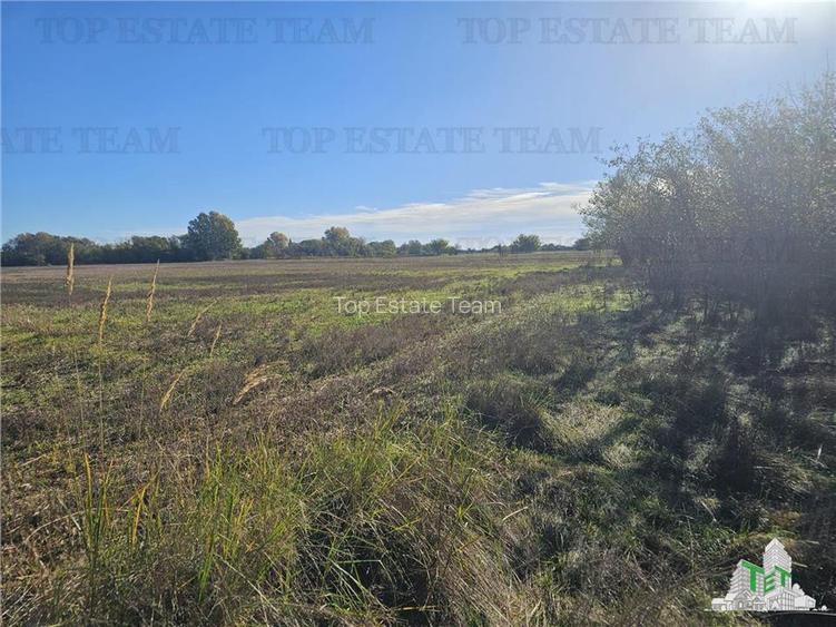 SUPER-PRET Teren 1ha intravilan intre A0, padure si raul Sabar - 3