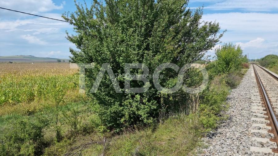 Oportunitate investitie comision 0% 28000 mp in Sura Mica Sibiu - 3