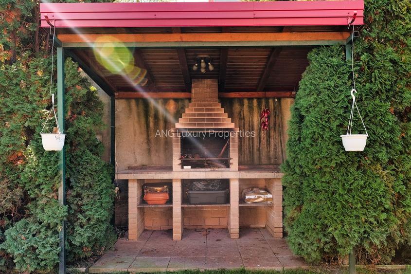 Vila tip Ranch langa Padure - 11