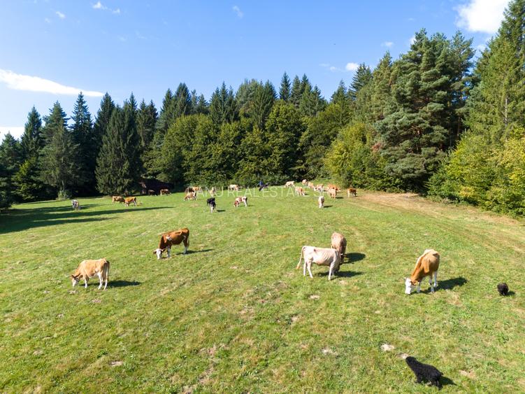 Teren intravilan 6800 mp, zona Lacuri Vulcan, Brașov - 14