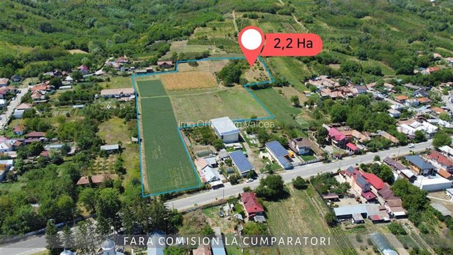 OPORTUNITATE UNICA IN DOMENIUL VITICOL - 3