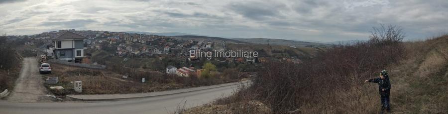 Teren intravilan 479mp in Dezmir - 3