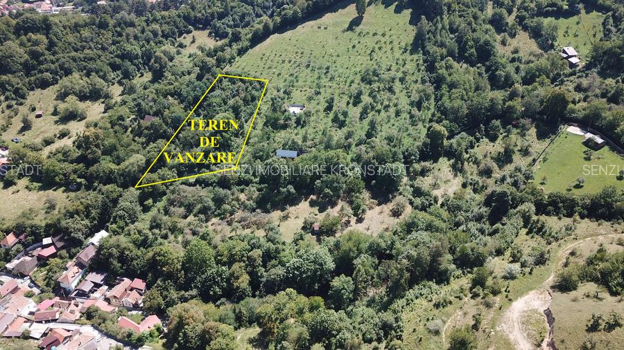 Teren in Scheii Brasovului inconjurat de natura - 4