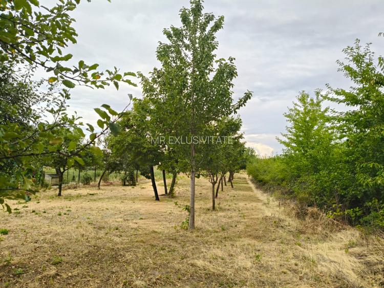 Terenuri intravilane alipibile în Runcu, zonă cu potențial - 4