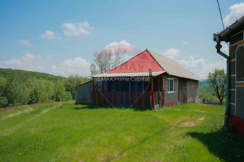 De vânzare casă cu teren și pădure 55706 mp - Șinteu, Valea Târnei - 6
