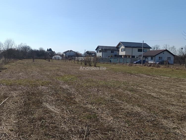 Teren parcelabil, intravilan, 6400mp cu casa renovata - ideal investitor  - 4