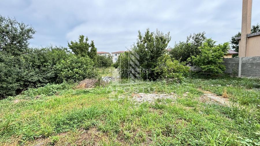 Casa cu 3 camere in Chisoda, teren 1480 mp - 10