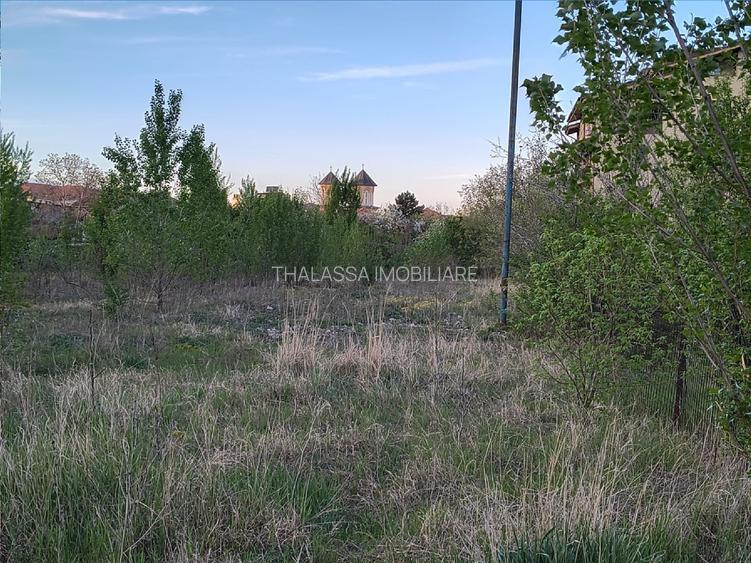 Teren constructii Central - Sala Polivalenta - 5