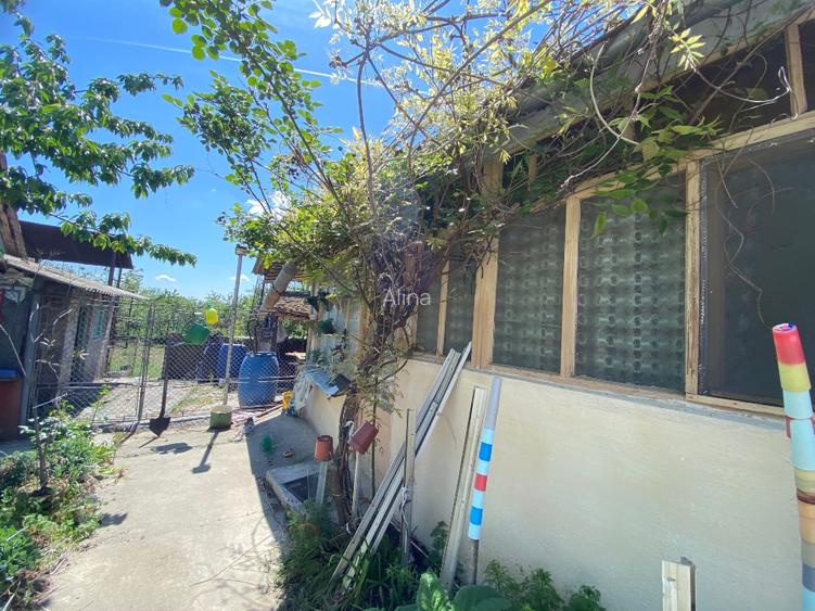 Casa de vânzare in Pecica Arad - 6