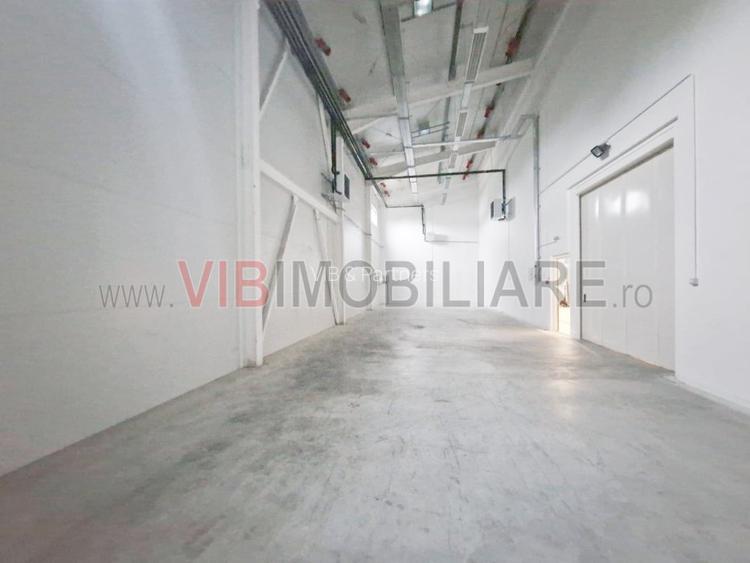 Depozit -hala de 1262m2 la intrarea in Crevedia teren 5.000mp - 7