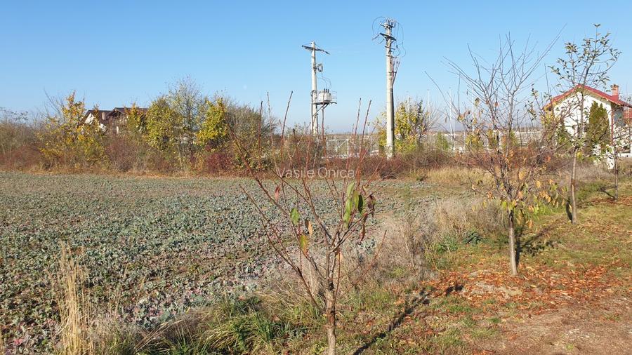Balotesti teren intravilan 14036 mp Arc padurea Codrii Vlasiei - 3